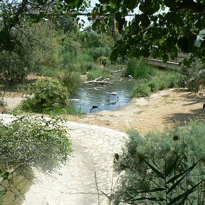 Réserve africaine de Sigean - African giant walkthrough aviary