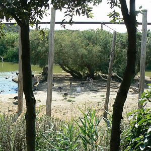 Réserve africaine de Sigean - African giant walkthrough aviary