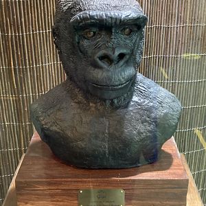 Bust of Gigi (1972-2019)