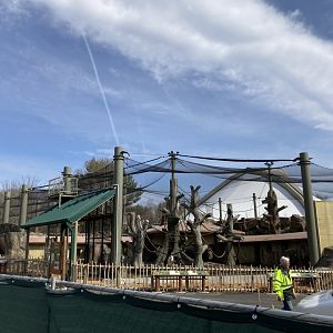 Gorilla exhibit construction