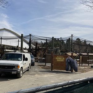 Gorilla exhibit construction