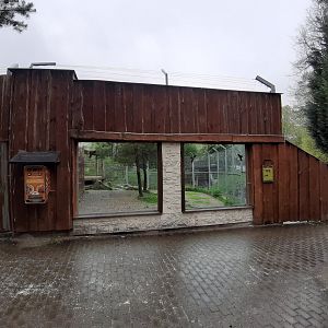 Amur tiger enclosure