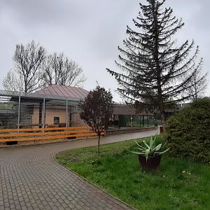 Exhibit of lions and pumas