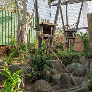 Wildlife Ambassador Left Sided Habitat(ground level)