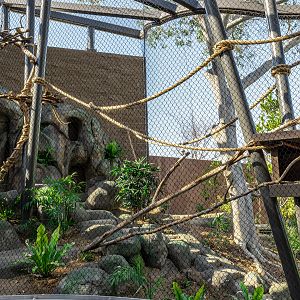 Wildlife Ambassadors Right Side Habitat(ground level)