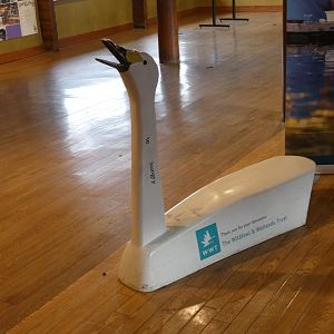 Swan donation box