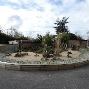 Asian short-clawed otter enclosure