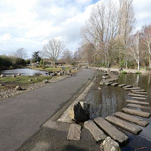 Asia walk-through enclosure