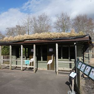 Chilean flamingo house