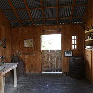 Entrance to wooded wetlands