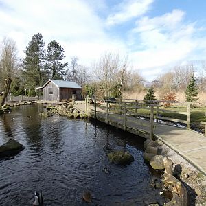 Wooded wetlands walk-through