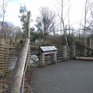 Magpie goose viewing area