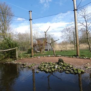 Weird or Wonderful Aviary