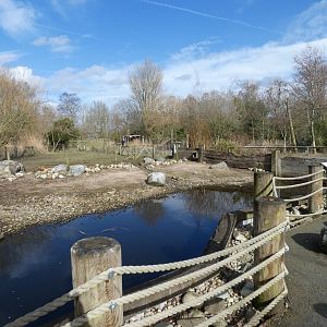 Cape barren goose enclosure in Weird or Wonderful