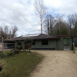 Greater flamingo house