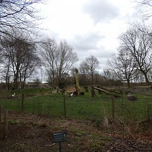 European white stork enclosure