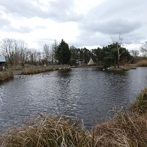 Wooded wetlands exhibit
