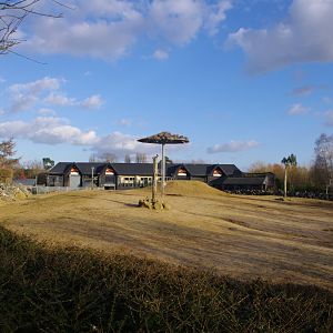 Kingdom of The Wild- Colchester Zoo 25/2/2022