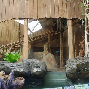 Refurbished Wilds of Asia building- Colchester Zoo 25/2/2022