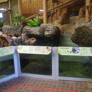 Refurbished Wilds of Asia building- Colchester Zoo 25/2/2022