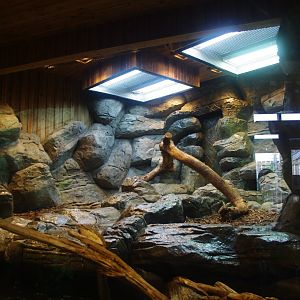 Refurbished Wilds of Asia building- Colchester Zoo 25/2/2022