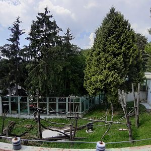 Borneo Orangutan exhibit