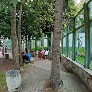 Borneo Orangutan exhibit
