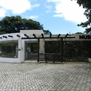 Zoo museum - Salvador zoo (PZGV)