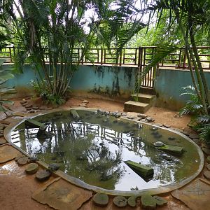 Chelonians exhibit  - Salvador zoo (PZGV)