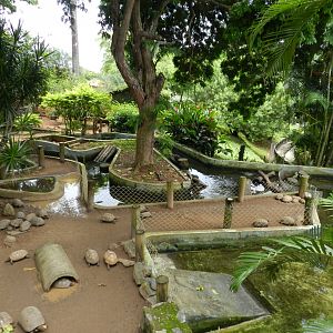 Chelonians exhibit - Salvador zoo (PZGV)