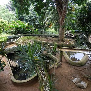 Chelonians exhibit - Salvador zoo (PZGV)