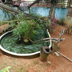 Tamandua and waterfowl exhibit - Salvador zoo (PZGV)