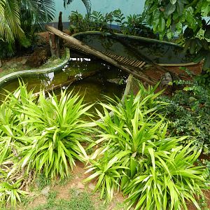 Spot the pythons - Salvador zoo (PZGV)