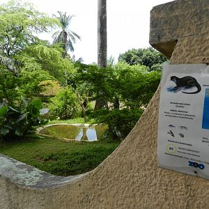 Neotropical otter exhibit - Salvador zoo (PZGV)