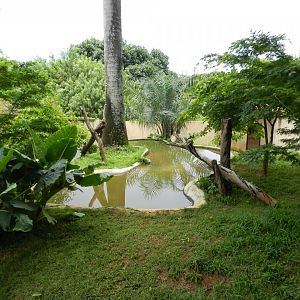Neotropical otter exhibit - Salvador zoo (PZGV)
