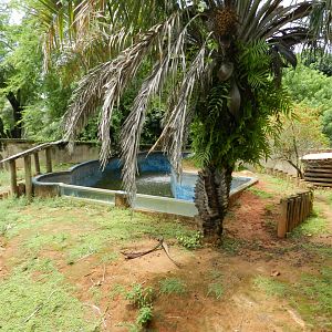 Neotropical otter exhibit - Salvador zoo (PZGV)