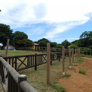 African megafauna area - Salvador zoo (PZGV)