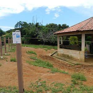 Zebra exhibit - Salvador zoo (PZGV)
