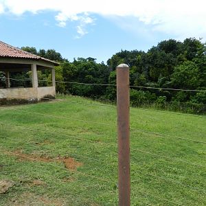 Zebra exhibit - Salvador zoo (PZGV)
