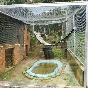 Example of outdoor small cat exhibit - Salvador zoo (PZGV)