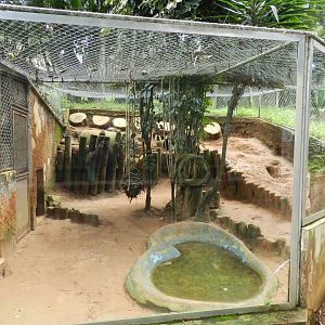 Crab-eating fox exhibit - Salvador zoo (PZGV)