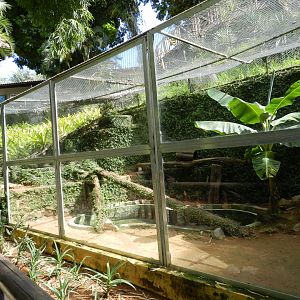 Tayra exhibit - Salvador zoo (PZGV)