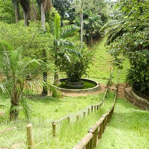 Brocket deer exhibit - Salvador zoo (PZGV)