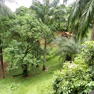 Brocket deer exhibit - Salvador zoo (PZGV)