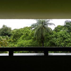 Viewing point - Salvador zoo (PZGV)