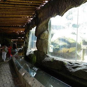 View of the big cat row - Salvador zoo (PZGV)
