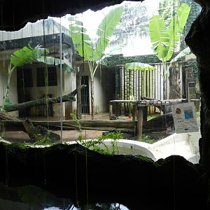 Puma exhibit - Salvador zoo (PZGV)