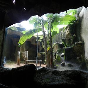 Puma exhibit - Salvador zoo (PZGV)
