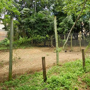 Sambar deer exhibit - Salvador zoo (PZGV)