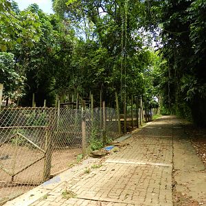 Offshow exhibits - Salvador zoo (PZGV)